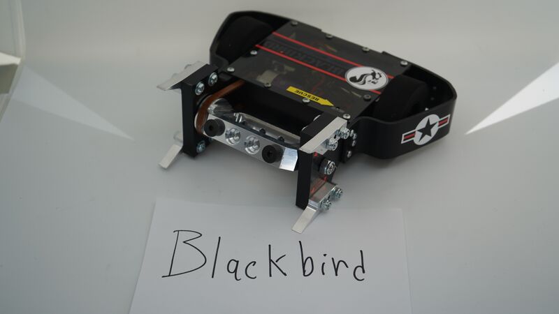 File:Blackbird Nov-2020.jpg