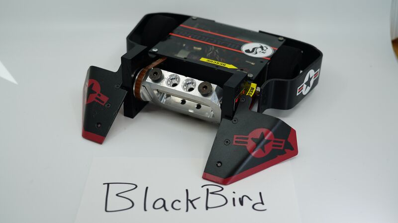 File:Blackbird.jpeg