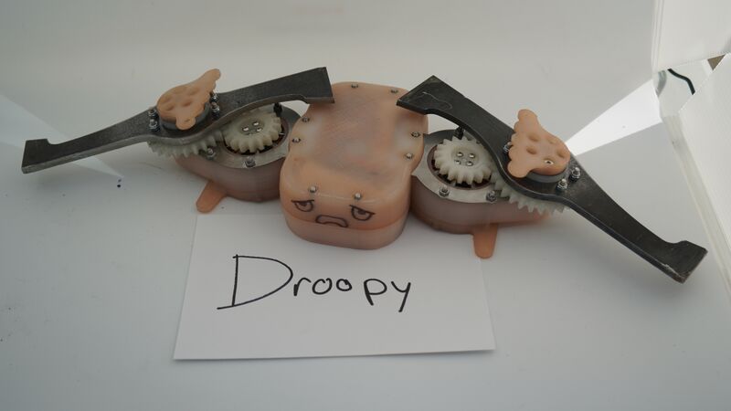 File:Droopy Nov-2020.jpg