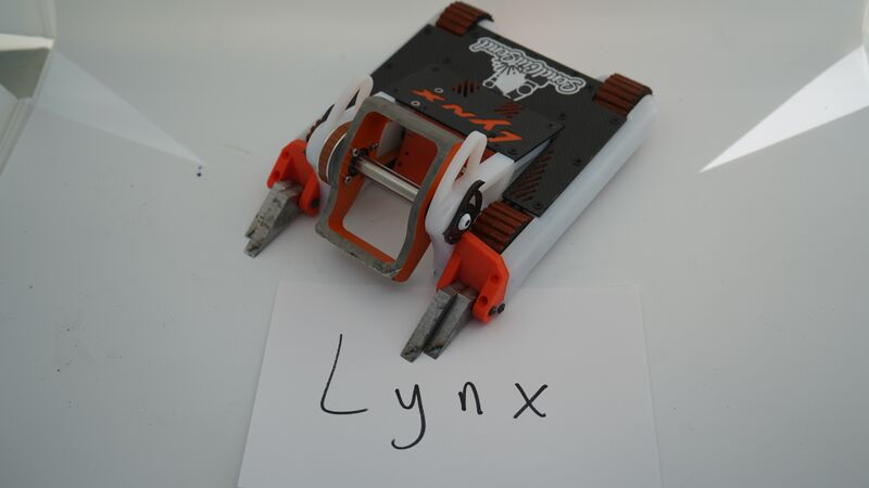 File:Lynx Nov-2020.jpg