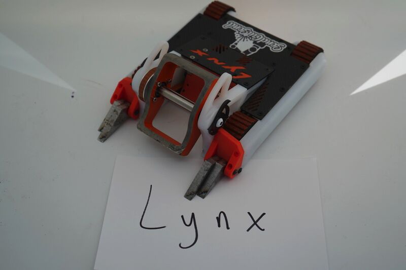 File:Lynx.jpg